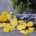Woration 20 Pack Simulation Lemon & Slices Blocks Set, Artificial Plastic Lemon Slice Lifelike Fake Lemon Decor Fake Fruit for Wedding Photography Prop Party Display