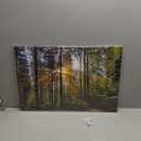 Nature Forest Landscape Wall Art Sunrise Green Tropical Trees Canvas Pictures Wall Decor 16x24" Mountain Prints Painting Modern Framed Artwork for Living Room Bedroom Kitchen Office Home Decoration