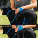 Dog Shower & Grooming Glove  2-in-1 Pet Bathing Tool with Hose & Faucet Adapters  Indoor/Outdoor Sprayer for Dogs & Cats