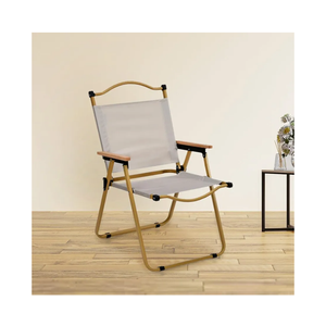 Nilkamal Conway Floding Easy Chair|Adjustable Backrest | Portable & Space Saving Easy Chair for Home & Outdoor(Tan)