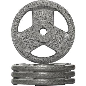 Fitvids Cast Iron 1-Inch Standard Weight Plate for Strength Training & Weightlifting