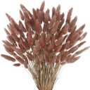 CISDUEO 120pcs Dried Bunny Tails Flowers Lagurus Ovatus Tail Dried Flowers Pampas Grass Red Brown Natural Dried Floral Arrangement for Boho Decor Home Wedding DIY Farmhouse Table Christmas