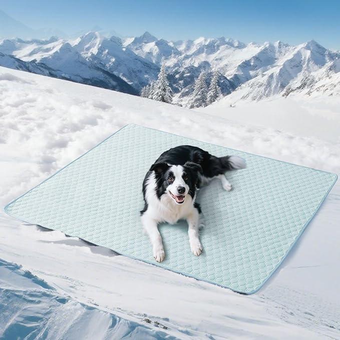 Soulbond Cooling Mat for Large Dogs - 50"x60" Washable Cooling Pad for Puppy, QMAX>0.3, Anti-Slip Bottom, Portable Summer Pet Cool Kennel Bed Pad for Outdoor/Indoor/Cars/Travel Use, Aqua Green