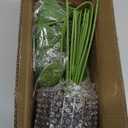 florisso 28" Artificial Monstera Plant Tall Fake Faux Plants Indoor Outdoor Tree for Living Room Home House Decoration