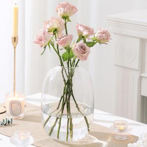 Large Glass Vase, 10 Inches Tall Glass Vases, Clear Glass Vase for Flower, Modern Round Vases for Living Room, Dining Table, Mantle, Shelf, Wedding, Office, Entryway