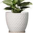 G EPGardening 6 Inch Ceramic Plant Pot with Drainage Hole and Saucer Round Planter Decorative Flower Plant Pot for Indoor Plants Outdoor White