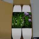 Der Rose 4 Pack Small Fake Plants Mini Artificial Faux Plants Indoor with Flowers Spring Decorations for Home Room Farmhouse Desk House Bathroom Decor