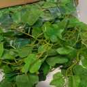 RECUTMS Artificial Vines Ivy Garland 2Pcs 6Ft Fake Hanging Vine Plants Faux Green Grape Leaves Greenery Indoor Outdoor Home Office Garden Wedding Jungle Beach Birthday Party Arch Table Spring Decor