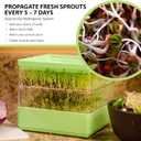 Gardens Alive! Seed Sprouter Kit, Two Tier Stackable Seedling Starter Tray with Lid, Microgreens Propagator Mini Plant Grow Trays, Germinate Seeds Indoors, Healthy Snacks, Bean Sprouts, Soil Free