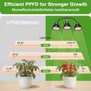 QCQHDU Grow Lights for Indoor Plants Full Spectrum,81 LED Triple-Bulb Plant Growing for Seed Starting Lamp with 3/9/12H Timer, Adjustable Gooseneck with Base,3 Switch Modes