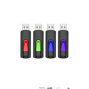 RAOYI 4 Pack 64GB USB Flash Drive, USB 2.0 Memory Stick Thumb Drives Jump Drive Pen Drive for PC Laptop Computer - 64G Multipack