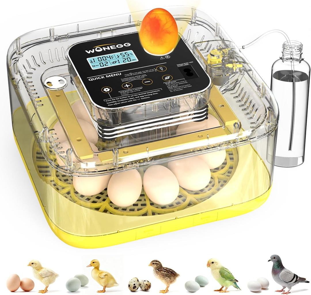 Incubator for Hatching Eggs, 12 Eggs Incubator with Automatic Egg Turning, Temperature & Humidity Control, LED Egg Candler, Incubation Days Display, for Chicken, Duck, Quail, Parrot Bird Eggs (Yellow)