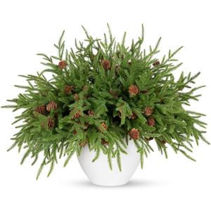 18" Real Touch Christmas Norfolk Pine Stems with Real Pine Cones,Natural Droopy Soft Bendable Artificial Pine Branches,Faux Greenery Pine Picks for Vase DIY Garland Wreath Xmas Home Decor(12Pcs)