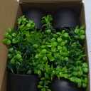 Der Rose Fake Plants 4 Packs Artificial Plants Small Faux Plants Black Bathroom Accessories for Halloween Bathroom Home Kitchen Coffee Table Office Desk Decor Indoor (Green)