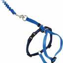 PetSafe Come with Me Kitty Harness and Bungee Leash, Large, Royal Blue (Large (Pack of 1))