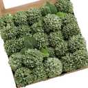 Ling's Moment Elf Green Dahlia Foam Artificial Flowers Real Touch Faux Fake Flower For Home Decor Graduation Baby Shower Decorations Outdoors Party Favors Wedding Gifts Centerpieces Arrangements 25pcs