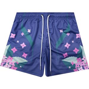 BOOMLEMON Mens Mesh Graphic Shorts Retro Designer Basketball Athletic Shorts Summer Casual Cool Streetwear Short Pants