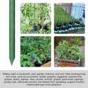 Garmeinea Garden Stakes 30 Inches Plastic Coated Steel Plant Stakes for Growing Climbing Plants, Pack of 25