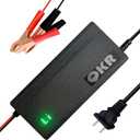 12V Lithium Battery Charger 14.6V 10A LiFePO4 Battery Charger for 12V Lithium Iron Phosphate Battery, Built-in Safety Protections, Support 0V Charging, Fast Charging, Smart Charger with LED Indicator