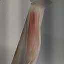 Carbou Silicone Super Absorbent Wound Dressing 5"x 5", 10 Individual Pack, Self-Adhesive Waterproof Bandage, Soft Highly Absorbent Dressing for Wound Care, Burns, Bedsores, Traumas & Surgical Wounds