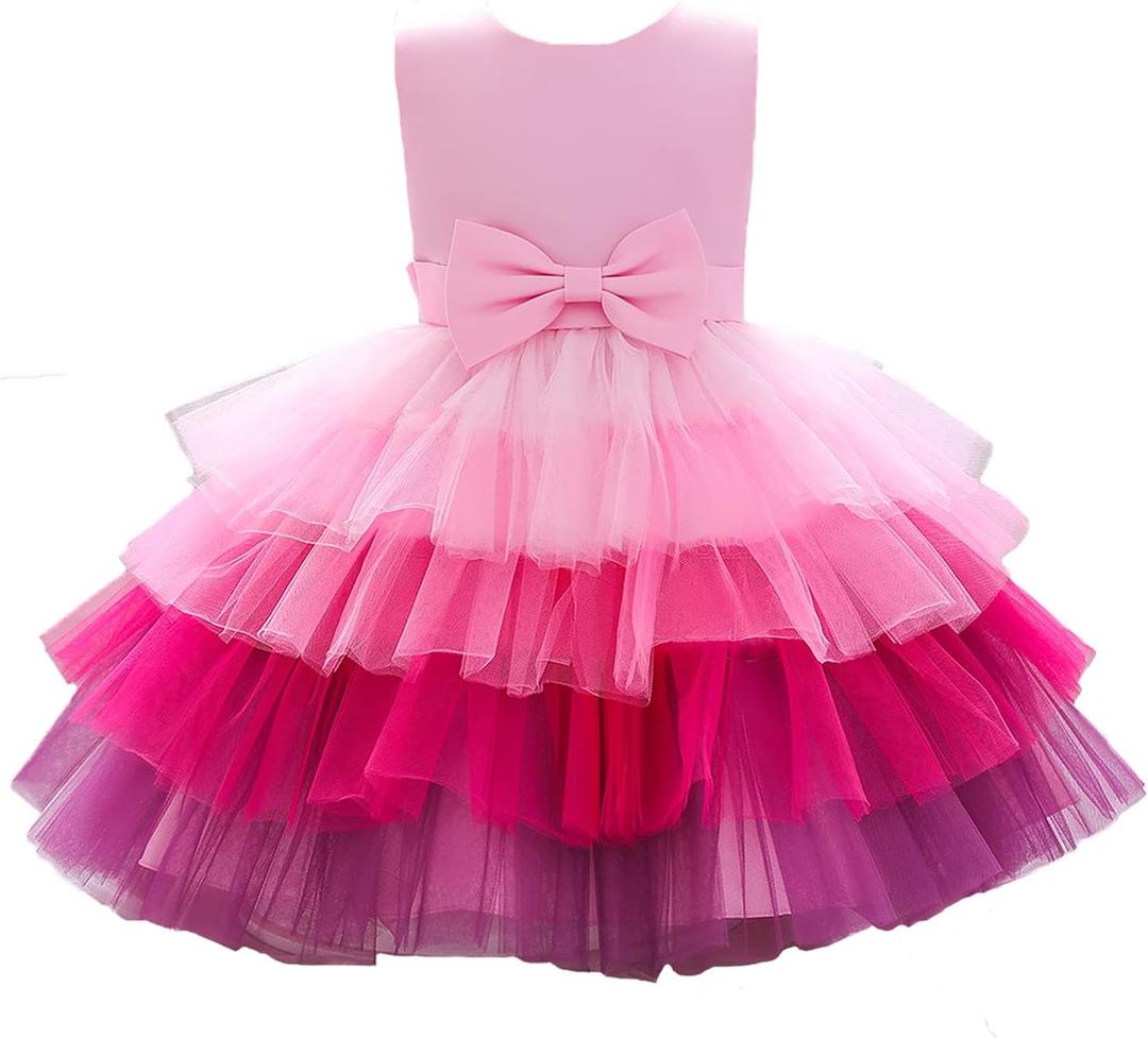 Flower Baby Girl Lace Dress Toddler Tulle Sleeveless Bow Princess Party Wedding Pageant Bridesmaid (6-12M)