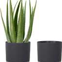 kubvici Plant Pots for Indoor Plants, 2 Pack 10 Inch Plant Pot Plastic Flower Pots Planters with Drainage Saucer for Indoor Outdoor Garden Home (10" Black)
