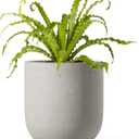 LE TAUCI 6 Inch Plant Pot, Ceramic Planter for Herbs & Small Houseplants, Tabletop Indoor Pot for Shelf, Desk and Windowsill, Small Planter with Drainage Hole & Rubber Plug, Neutral Gray