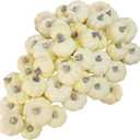 Winlyn 48 Pcs Mini Artificial Pumpkins Faux Cream Baby Boo Pumpkins Foam Pumpkins 1.8" 2.1" for Fall Harvest Thanksgiving Table Centerpiece Halloween Autumn Wedding Baby Shower Wreath Bowl Fillers (White)