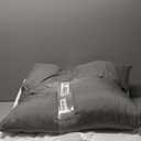 Favoyard Outdoor Seat Cushion Set 24 x 24 Inch Waterproof & Fade Resistant Patio Furniture Cushions with Removable Cover, Handle and Adjustable Straps for Chair Sofa Couch (Blue)