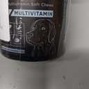 DM-01 Daily Multivitamin for Dogs, Multivitamin Itch Relief Chews, Skin and Coat Healthy, Gut Health & Boost Immunity, with Folic Acid, Salmon Oil, Probiotics & Vitamins, Beef Flavor, 60 Chew (1)