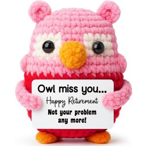 Owl Crochet Retirement Gift for Female Coworker Teacher, Cute Handmade Pink Owl Birthday Present for Mom or Friend, Funny Farewell Keepsake, Handmade Collectible Party Decoration