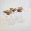 Glass Jars with Cork Lid, Pack of 4