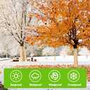 UNFAMILY 100FTx4IN Paper Tree Wraps to Protect Bark, Tree Protector Wrap Roll, Tree Wrap for Damaged Bark, Tree Trunk Wrap Protector, Winter Tree Trunk Bandage Frost Protection (100ft paper tree wrap)