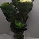 Nearly Natural 29in. Hydrangea Artificial Plant