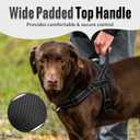 Arblina No Pull Dog Harness with Soft Mesh Padded, Fully Adjustable Walking Harness with Handle for Dogs, Reflective Front Clip Harness for Training and Hiking, Black, XL