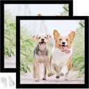 14x14 Picture Frame Set of 2, Black Square Photo Frames High Transparent Wall Gallery Desktop Horizontal Vertical for Canvas Collage Photo Poster Certificate 14 x 14 inches