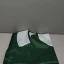 BSI NCAA College Michigan State Spartans 3 X 5 Foot Flag with Grommets Nation Flag