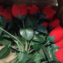 InnoGear 50 Pcs Red Roses Artificial Flowers, Fake Velvet Silk Rose Bulk Faux Flower for Valentine's Gift Decoration DIY Wedding Centerpieces Proposal Bridal Bouquets Party Floral Decor (50, Red)