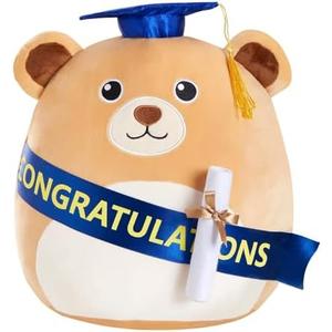 Graduation Bear Plush Pillow Stuffed Class of 2025 Gifts for Boys and Girls,Stuffed Animal Bear Pillow with Cap,Graduation Plush Animal Gift for Boys Girls for Preschool and College High School 13inch