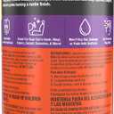 2 x Armor All Interior Car Cleaning Wipes, 25 Count Canister, Powerful Cleaning for Dashboards, Vinyl, Clear Plastics, Carpet and Fabric