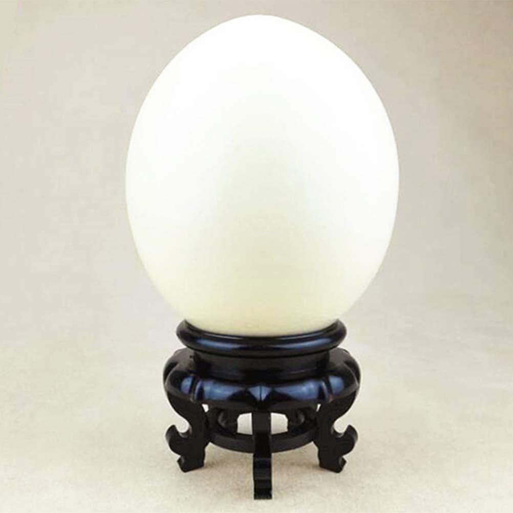 Fdit Display Stand, Carving Crafts, Egg Tray Base Bottom, Ornament for Homes or Offices, High Stability
