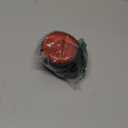 Red Record Buttons Recordable Button 30 Second Recording Buttons for Classroom Encouragement Words Desk Learning Record Daily Task 2 PC