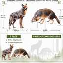 2 Pack Coyote Decoy 23.6 Inch Fake Predator Hunting Decoy with 6 Metal Stakes 2D Realistic Coyote to Scare Geese Deterrent Mouse Rabbits Small Animals Yard Ornament