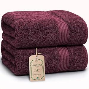 Luxe 2-Piece Bath Towel Set  Large Soft Cotton Towels, Absorbent, Durable & Skin-Friendly, Machine Washable, 27 x 54 in (Ice Blue)