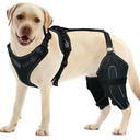 Dog Knee Brace for Torn ACL Hind Leg with 4 Metal Stabilizers Helps with Torn CCL, Luxating Patella, XL