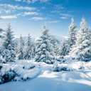 AOFOTO 12x8ft Snowy Scenery Backdrop Forest Snow Tree Photography Background Winter Snowfield Landscape Snow Covered Fir Pine Tree Outdoor Sky Christmas New Year Photo Studio Props Vinyl Wallpaper