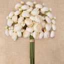 FancyPlus Ranunculus Artificial Flowers 18 Pcs, Faux Silk Mini Peonies Bulk Flowers for Vase, Fake Wedding Filler Flowers for DIY Bouquets, Centerpieces Arrangements Bridal Shower Decor,Cream