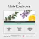 AromaPlan Hotel Scents Minty Eucalyptus 16 Fl Oz (473ml), Home Luxury Aroma & Hotel Diffuser Oil- Hotel Diffuser Oil for Aromatherapy- USA Made, Bigger Bottle, Bolder Aroma & Longer Lasting