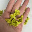 50 PCS Pakalana 03 Cowslip Creeper Flower Clay Beads for Jewelry Making DIY Craft Supplies