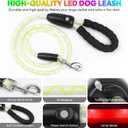 YFbrite 5FT Light up Dog Leash with 15 Flashing Modes - Super Bright LED Dog Leash for Small Medium Large Dogs - Type-c Rechargeable Dogs Leashes Light (Multi-Color, 5FT (150cm))